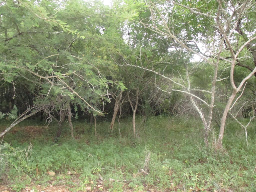 Royal Kruger Lodge Marloth Park Luaran gambar