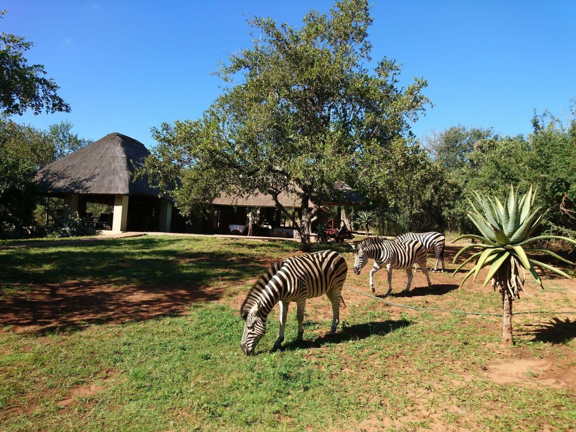 Royal Kruger Lodge Marloth Park Luaran gambar